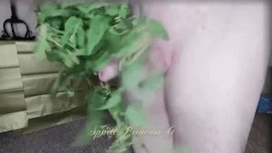 Nettles CBT slave By SpoiltprincessG