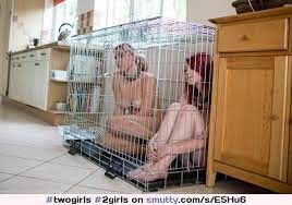 New Girlz at Zoo inspection station