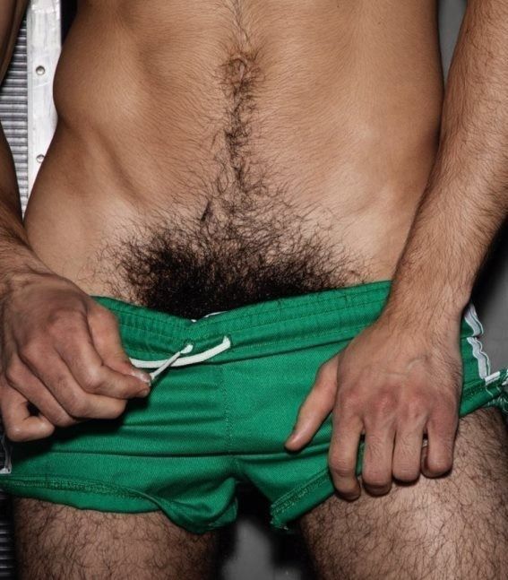 Boyshorts Bush