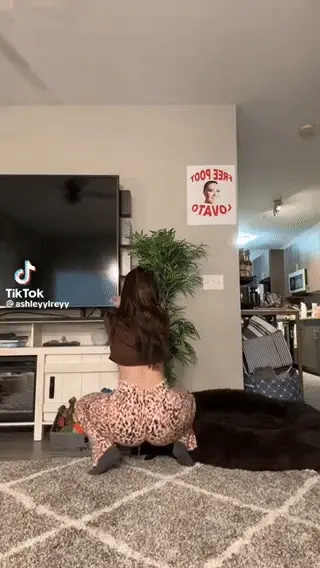 @ashleyylreyy