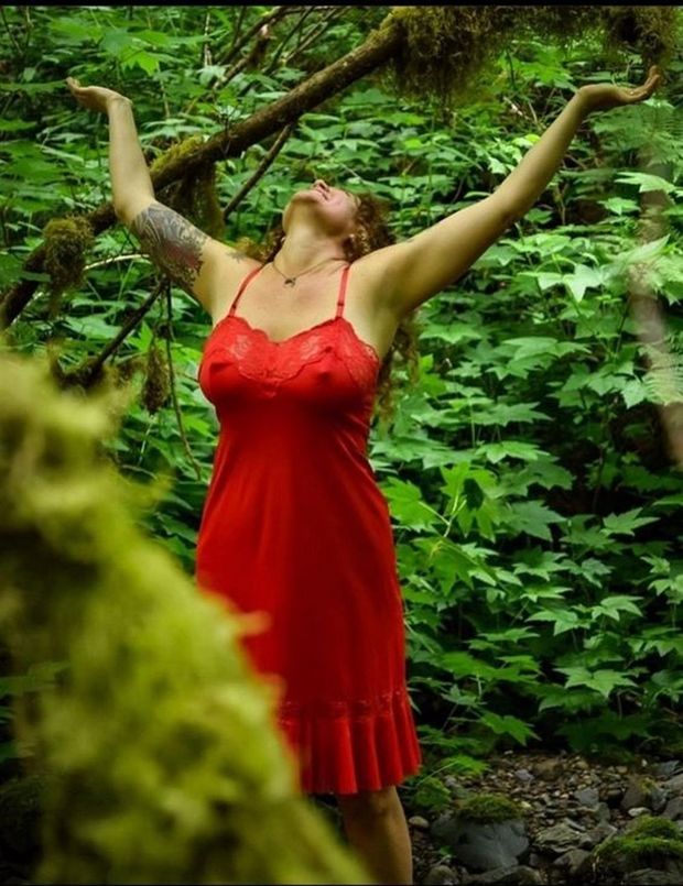 In The Woods