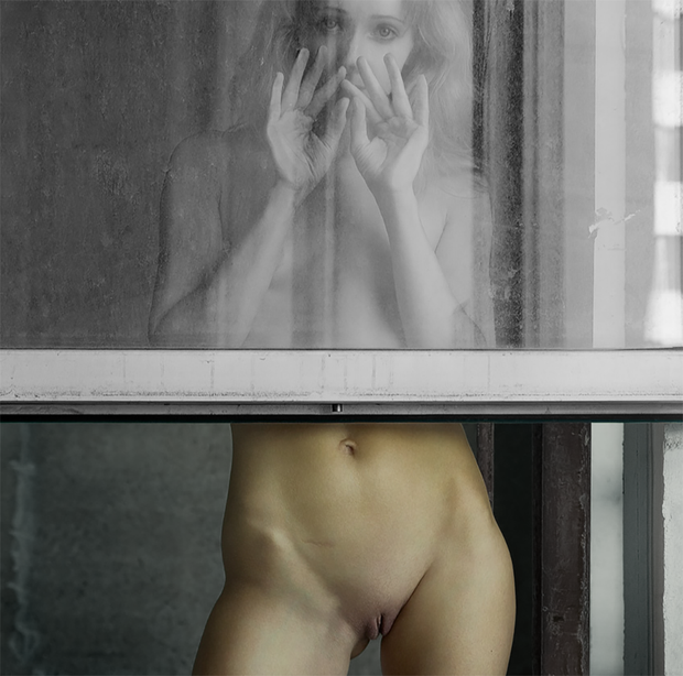 Through the looking glass