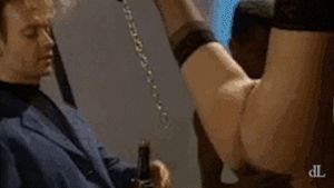 dL — sex ⊙ wine ⊙ lingerie — dL#240