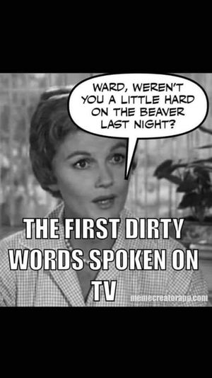 Ward likes June Beaver