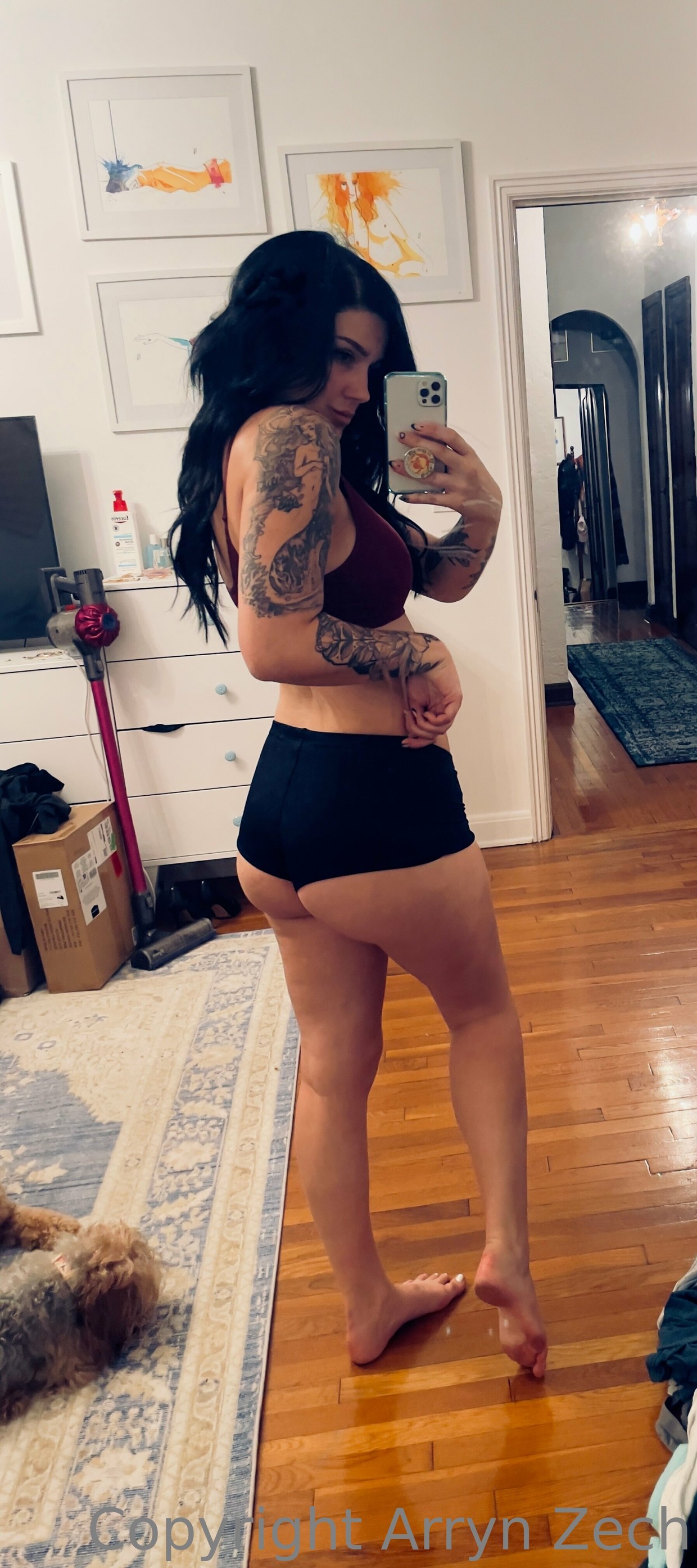 More of arryn zech