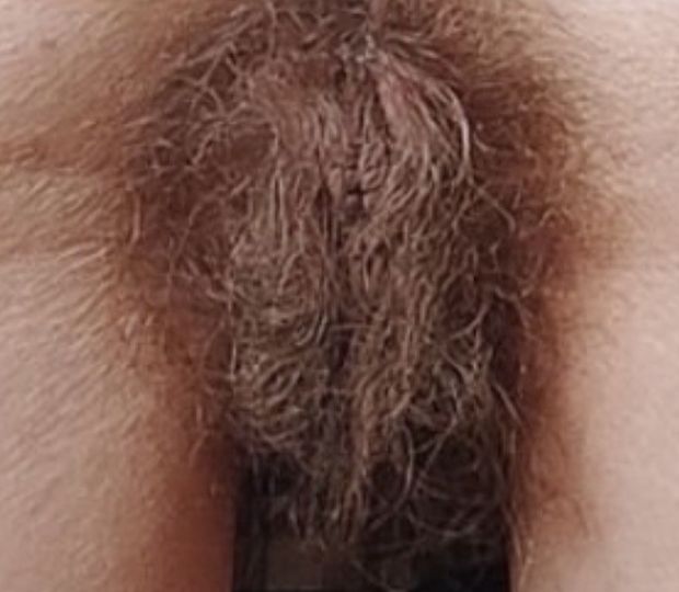 bush
