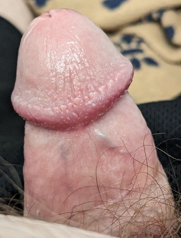cock