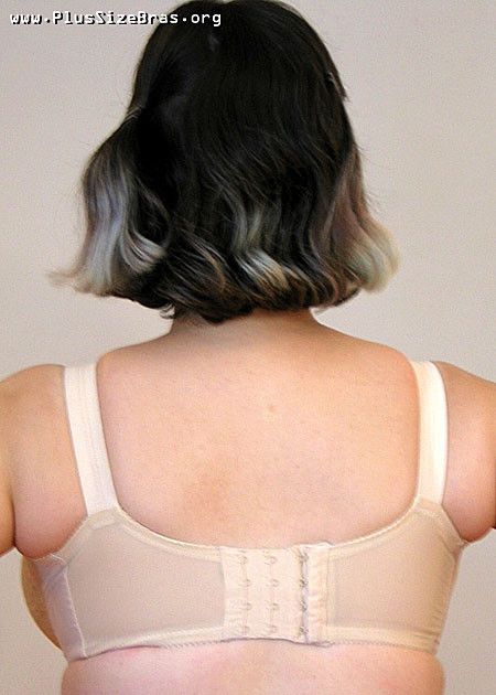 Back view, vintage cream lace. Sturdy!