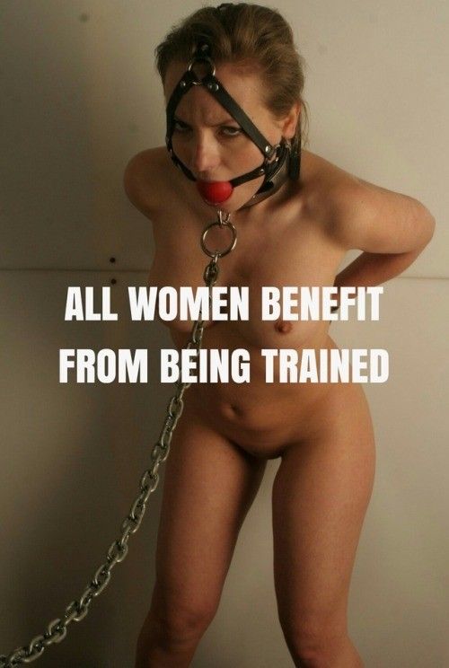 Train them