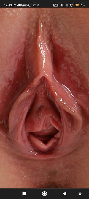 It's impossible for such a pussy to exist!