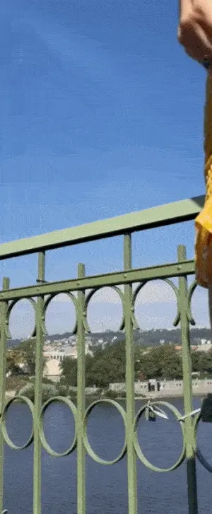 Alissa Foxy