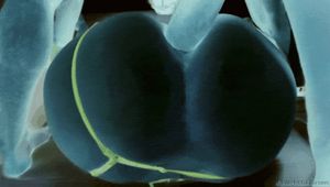 Dahlia Sky's round butt gets penetrated in Anal Pro