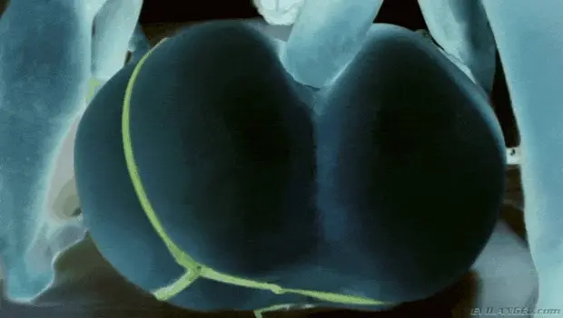Dahlia Sky's round butt gets penetrated in Anal Pro