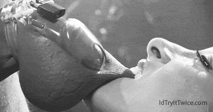 Bite that sack! The cock is safely locked!