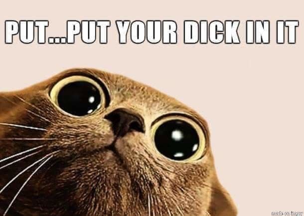 Very hairy pussy