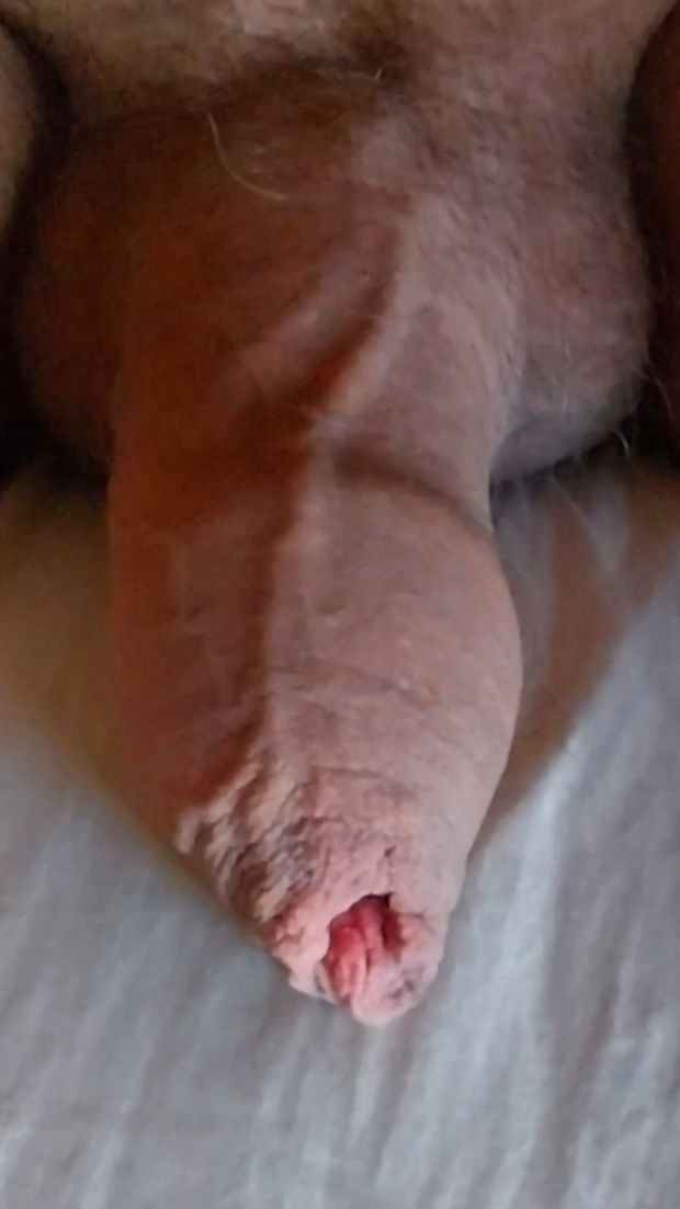 Slam this dick in your face