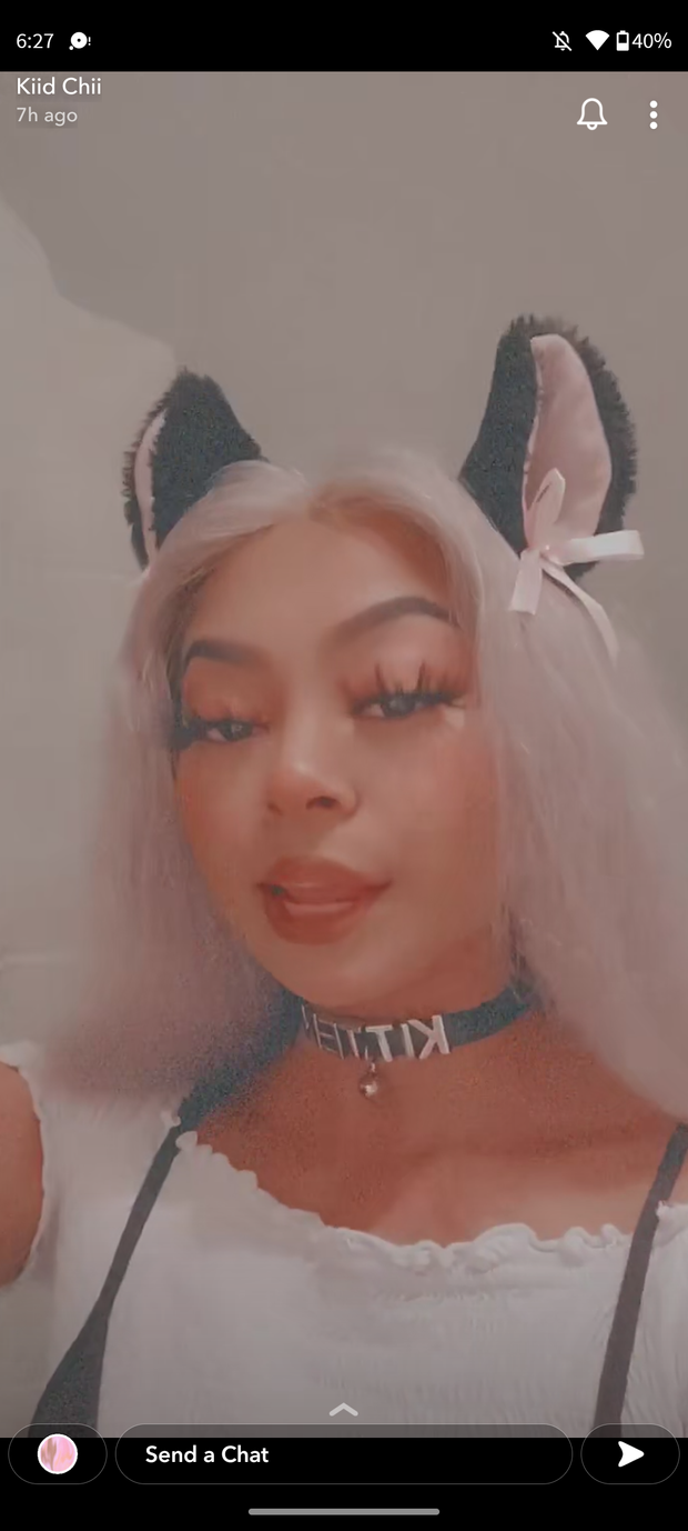Asian kitten
