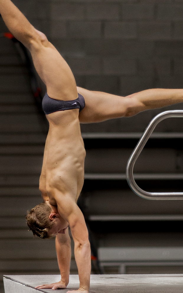 Professional diving