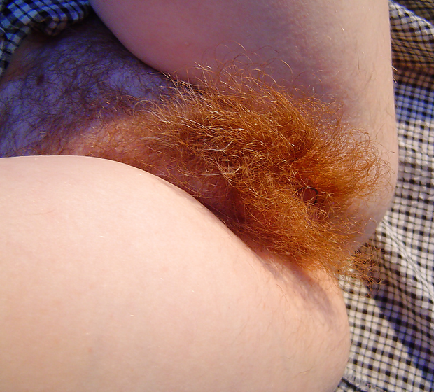 burning bush