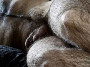 gramps hairy package