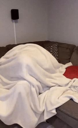 Curvy searching for remote