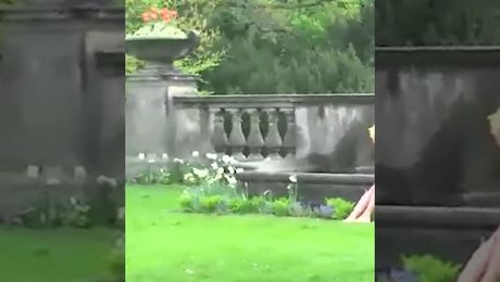 Hot public nudity with sweet blonde