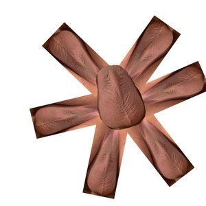 My wow-wows flower power