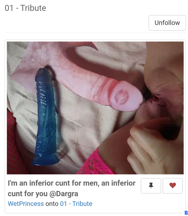 @WetPrincess tribute to my cock 1