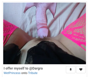 @WetPrincess tribute to my cock 4