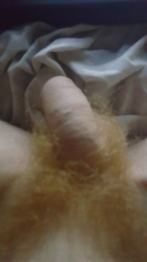small ginger cock