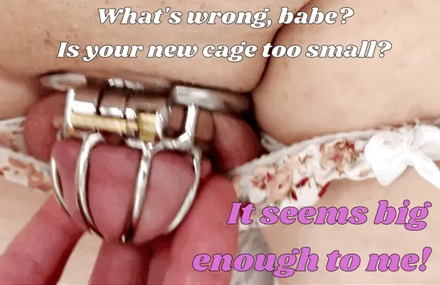 the smaller the better.. too small a cage does not exist..
