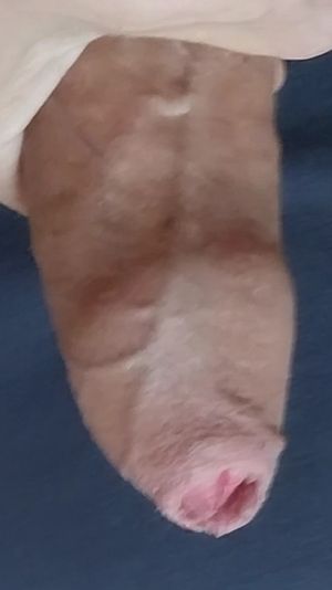 Want to suck this dick?