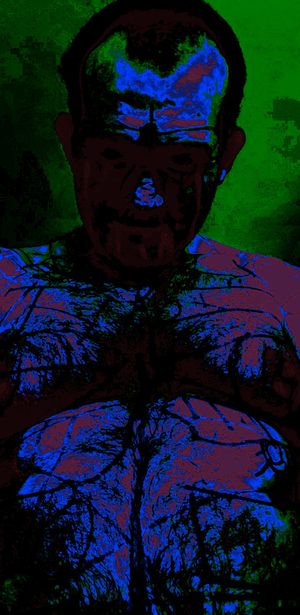 teddytron Picture