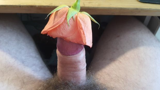 penis and flower