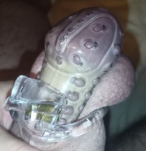 Aircage and erection try