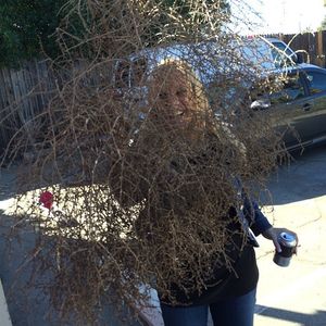 Melissa Gisoni 47th pic.