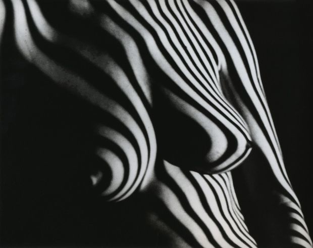 Shadow play