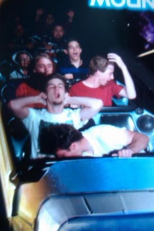 "Those who like roller coasters tend to experience happiness, excitement and satisfaction" - esp if a little extra of the "going down" part