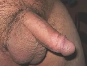 Can I interest you in a mouthful of cock?