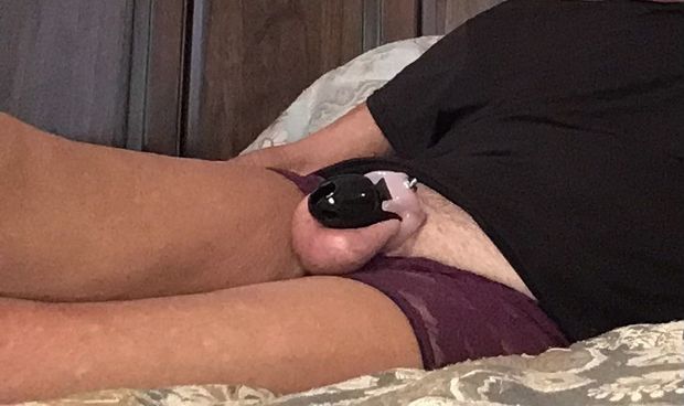 Love using my cages