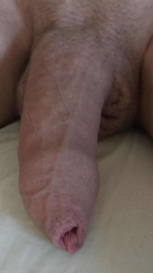 Dickpics for you
