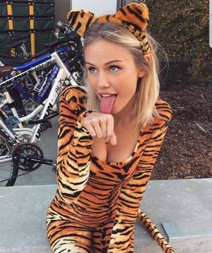 Playful little kitten.