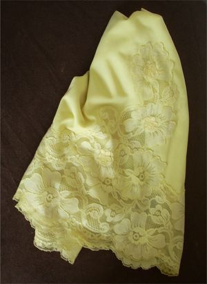 My Lacy Little Lacy Vanity Fair Mini Half Slip, So Silky Soft!