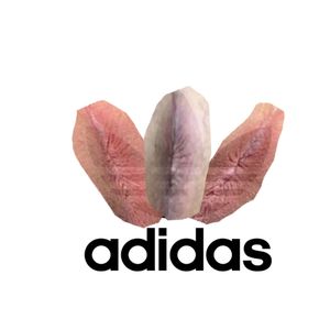 All day I dream about Kiki’s ass