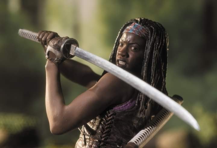 Danai Guira as Michonne