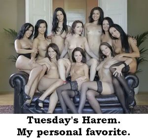 I will gladly pay you Tuesday, for an orgasm today. !