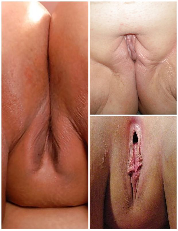 phat pussy collection