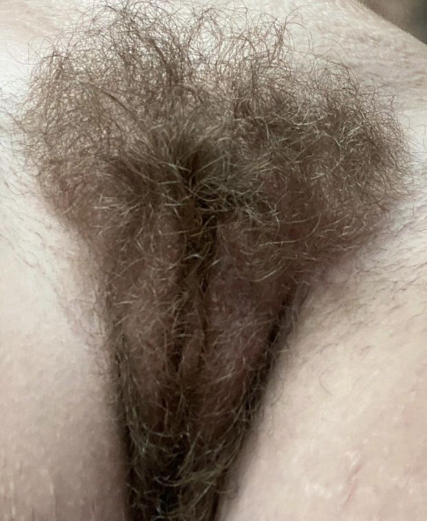 bush