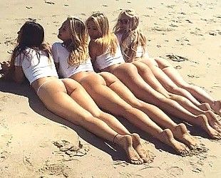 Asses