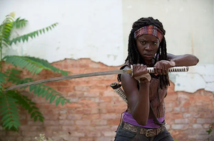 Danai Guira as Michonne